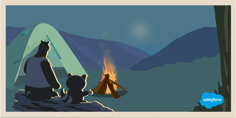 Platform Campfire - Washington - Salesforce.com