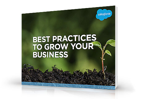 Best Practices to Grow Your Business e-book