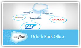 Unlock Your Back Office with the Salesforce Platform