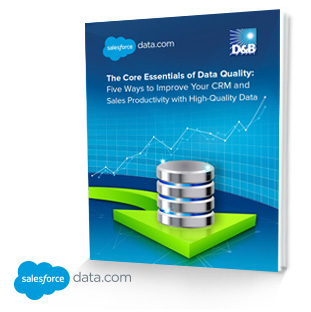 The Core Essentials of Data Quality: Five Ways to Improve Sales Productivity with High-Quality Data