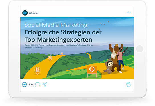 Social Media Marketing: Erfolgreiche Strategien der Top-Marketingexperten