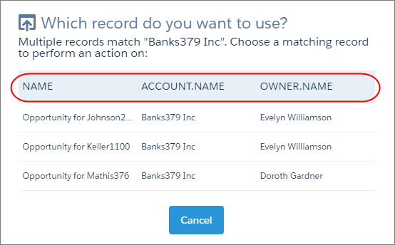 The dialog shows you information about each opportunity and asks you to pick a record.