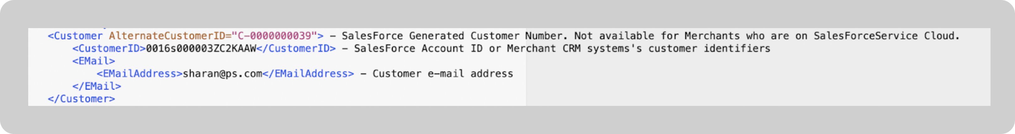 A screenshot showing customer information under the customer tag.