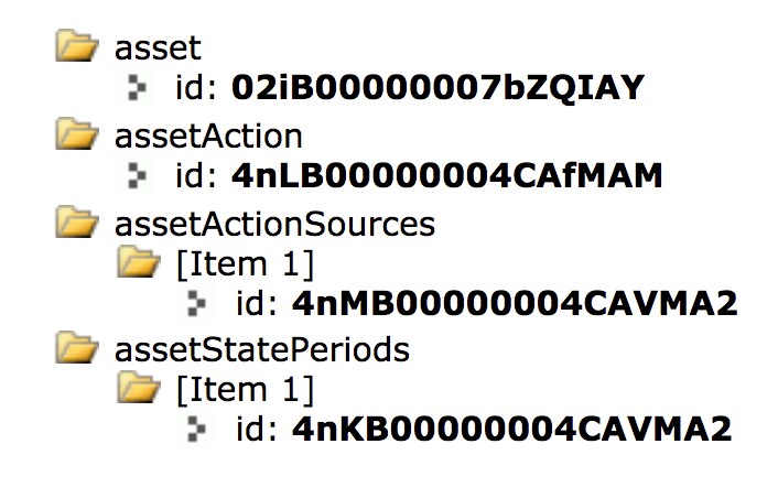 API output for a sample canceled asset.