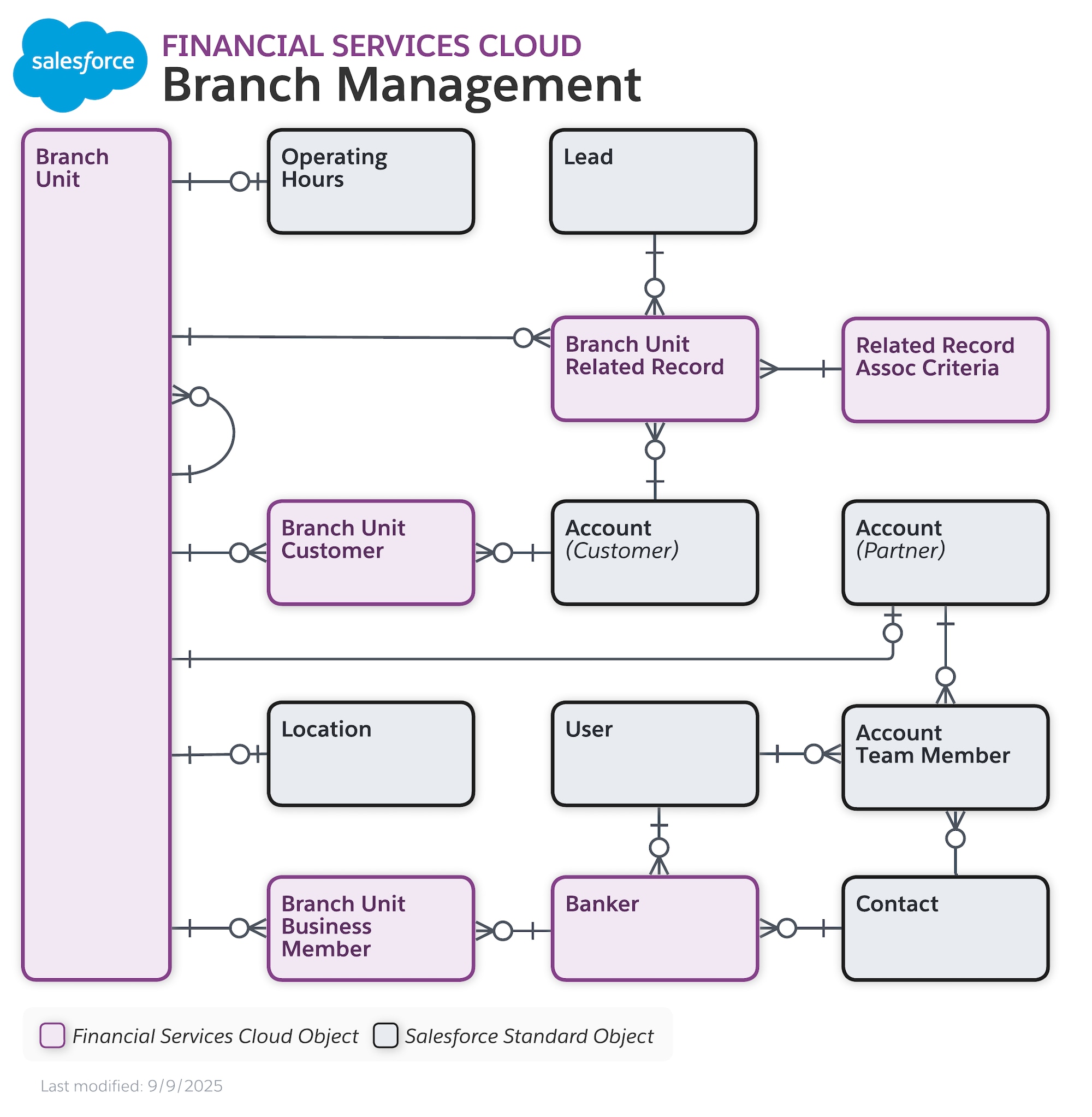 Data model diagram for Branch Management