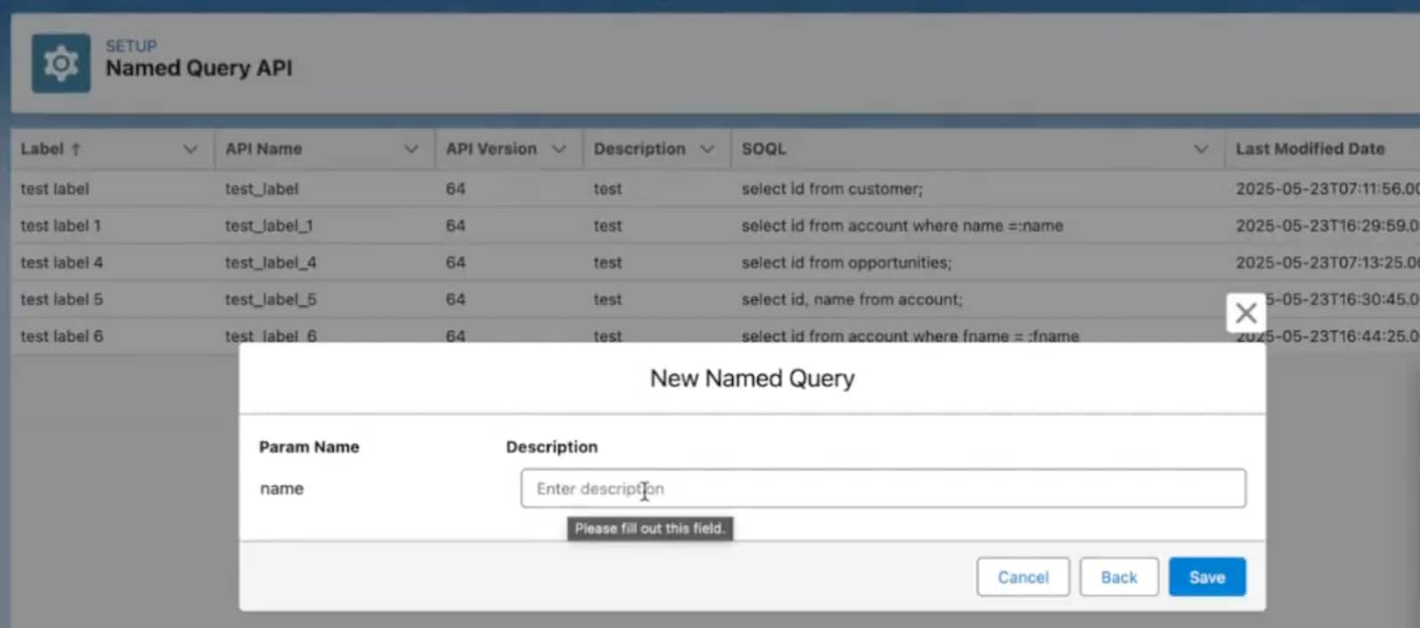 Screenshot of the parameter description field in the New Named Query modal.
