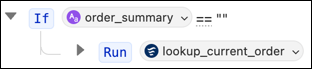 Running the lookup_current_order action inside a conditional instruction in Canvas view