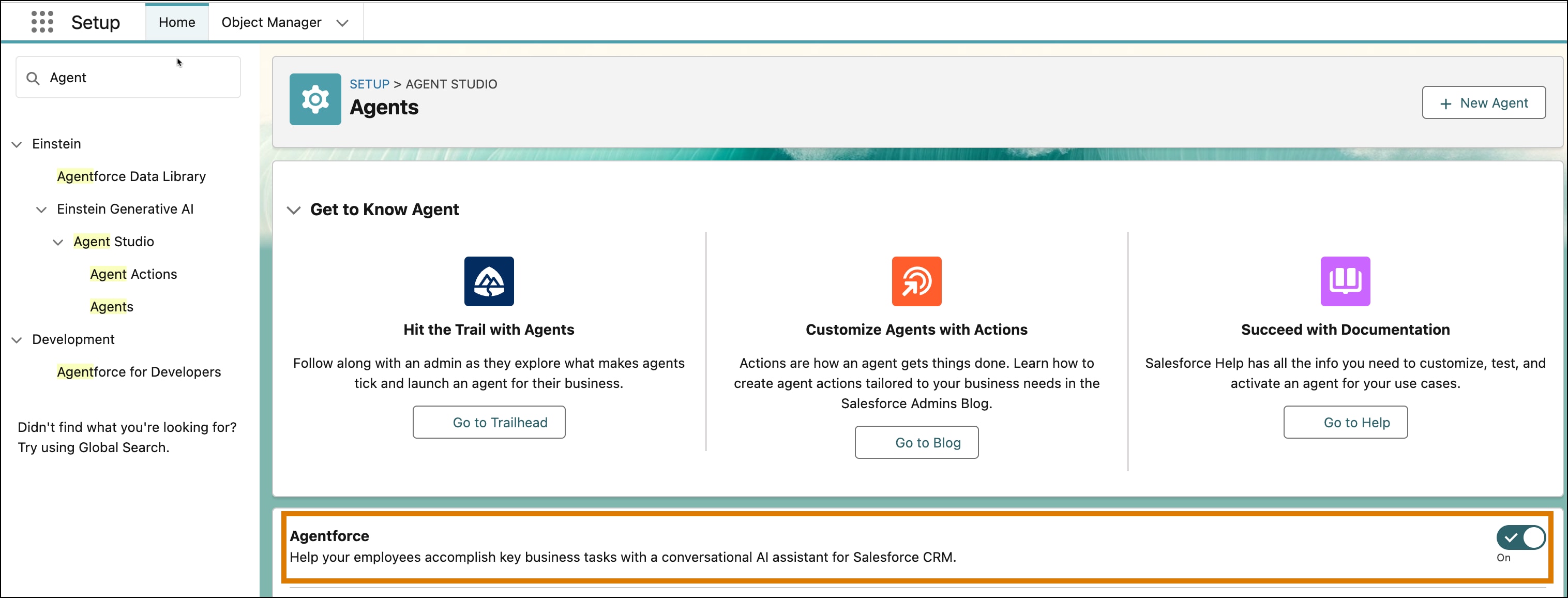 Agent Studio page in Setup showing Agentforce enabled.