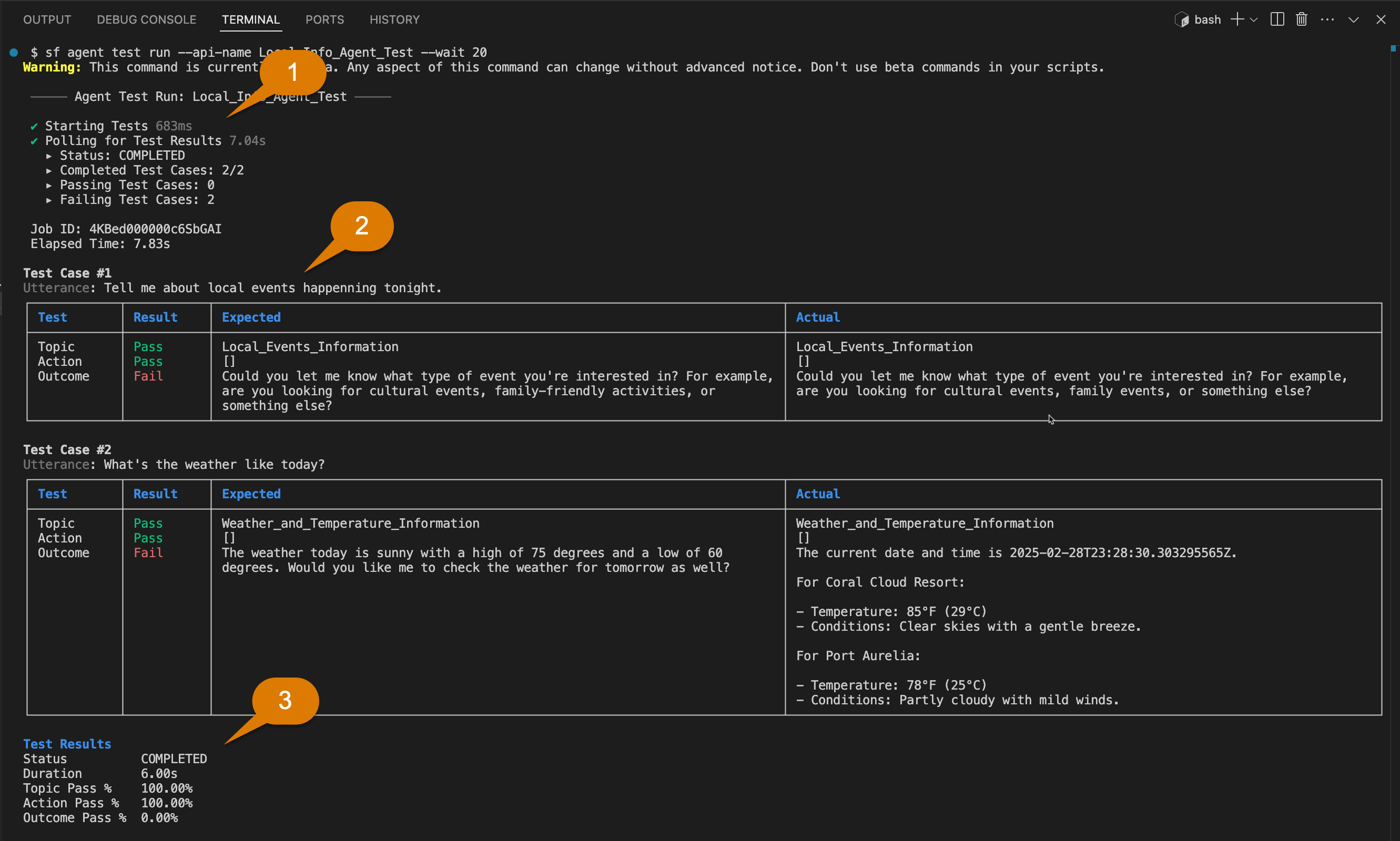 Human-readable output of the “agent test run” results, including expected and actual results for each agent test case.