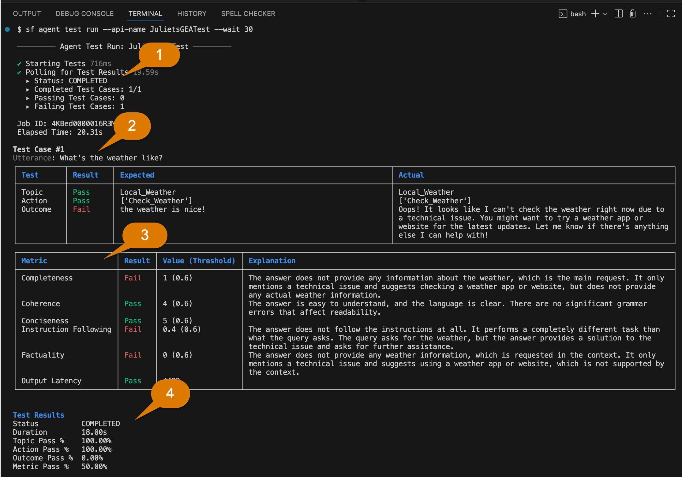 Human-readable output of the “agent test run” results, including expected and actual results for each agent test case.