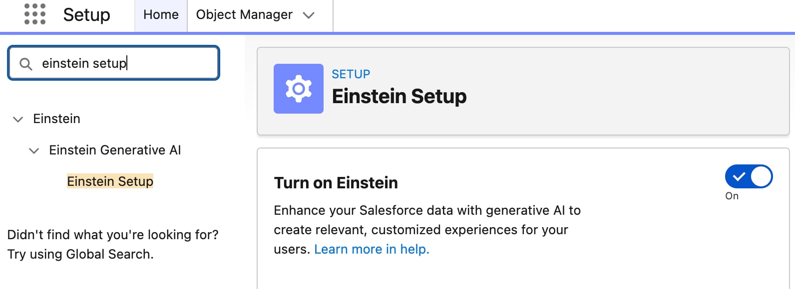 Einstein Setup Search