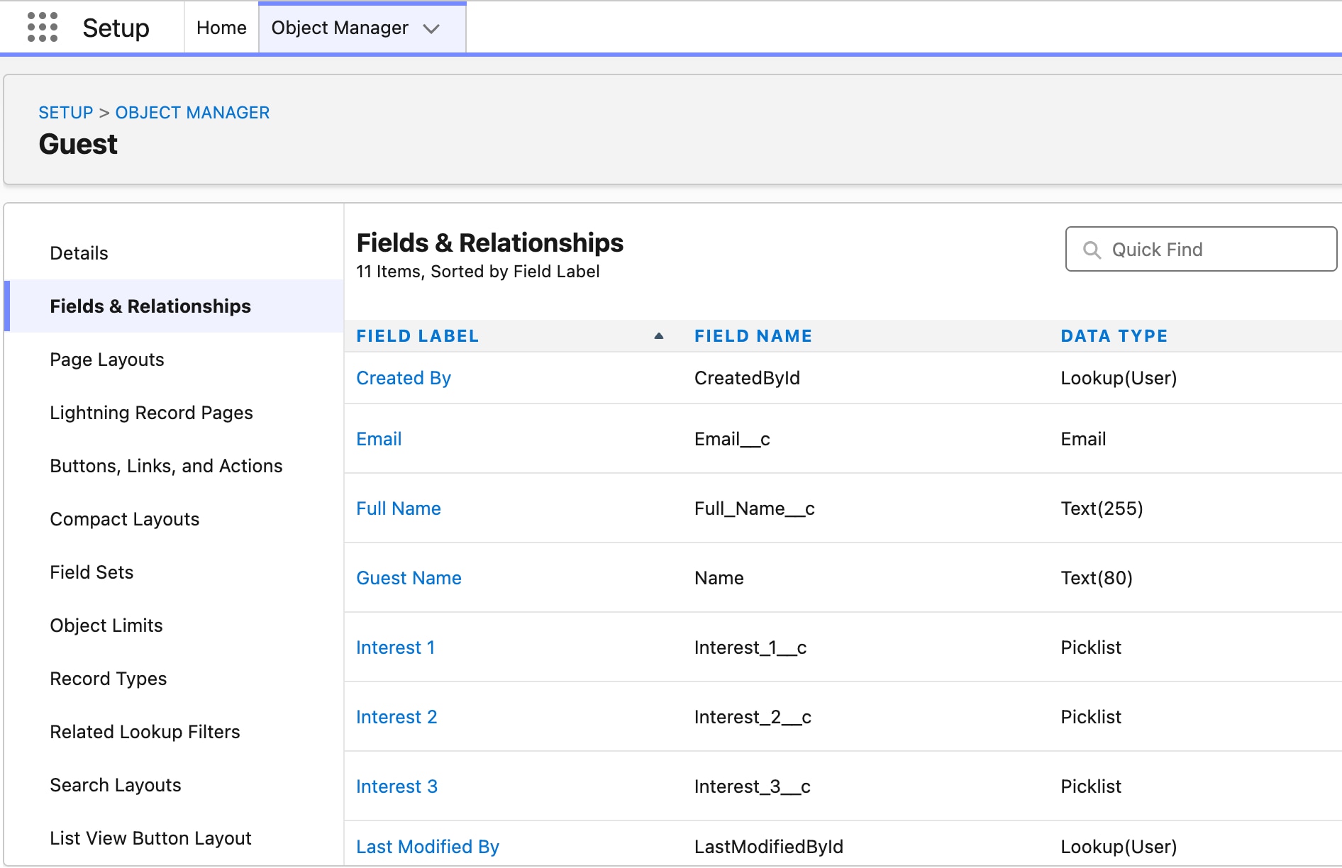 Custom Object and Fields