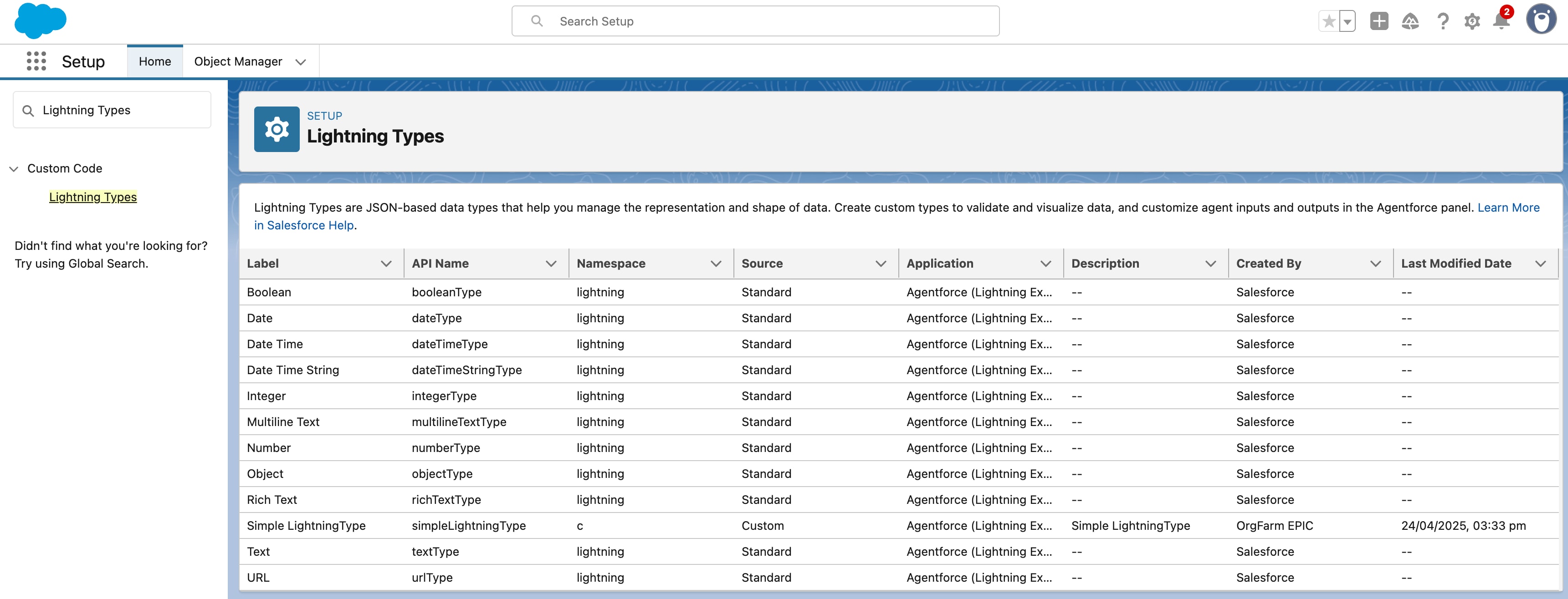 The image shows a list of Lightning types in your org.