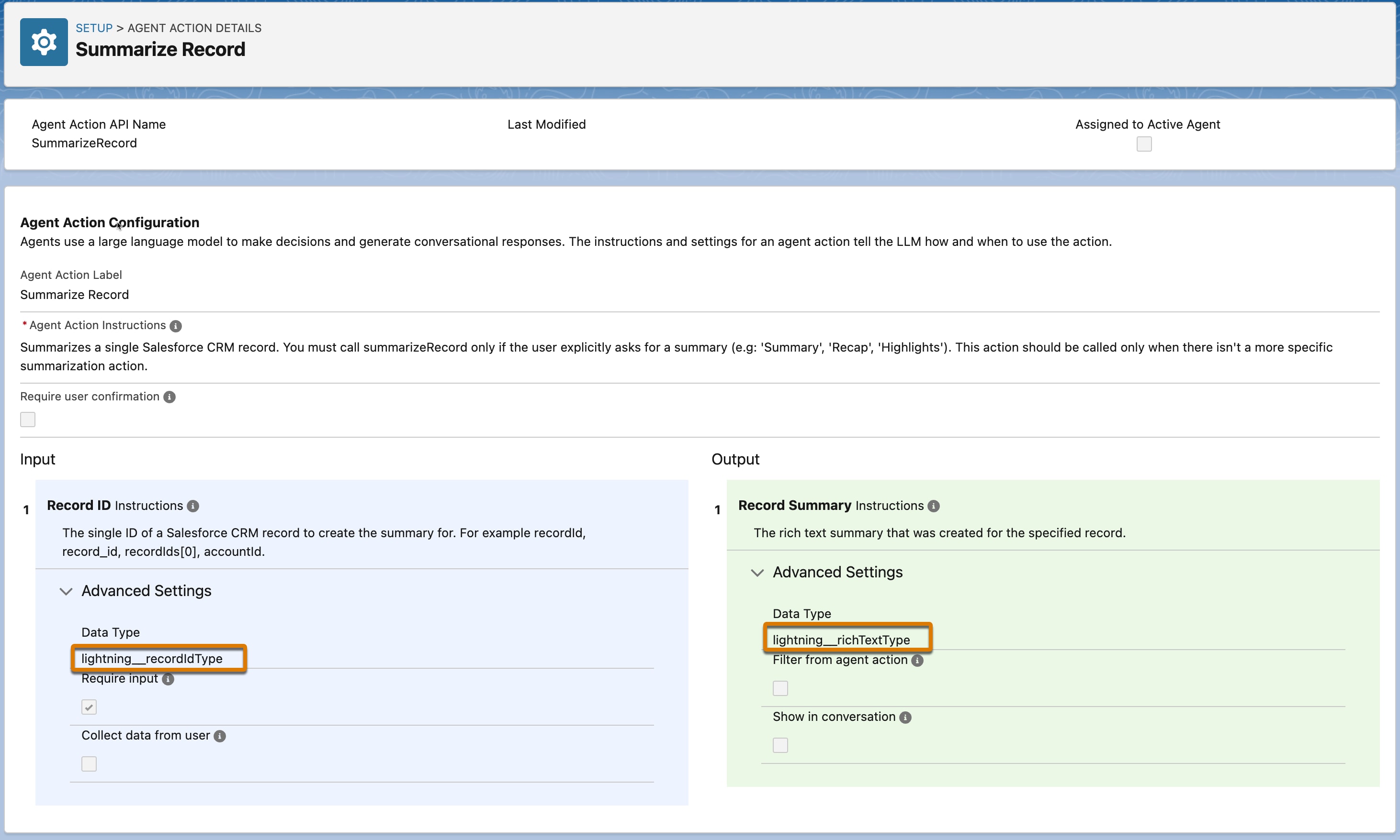 Input and output settings for the 'Summarize Record' agent action, with standard Lightning types used in the Data Type field for both configurations.