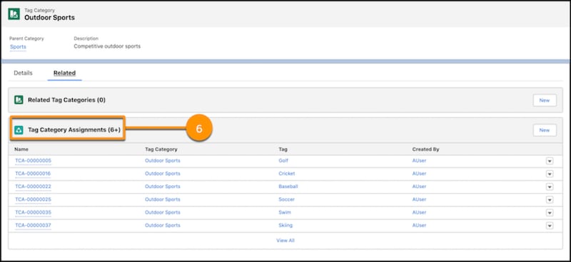 A representation of Interest Tags by tag category.