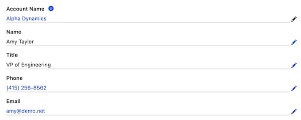Record view form with Name and Email fields