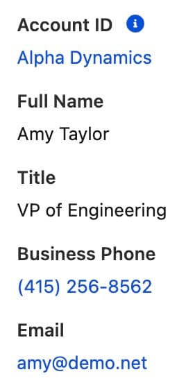 Record view form with Name and other fields
