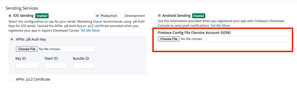 Upload Firebase Config
