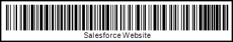 A Code 128 Auto barcode, with the text "Salesforce Website" printed below it.