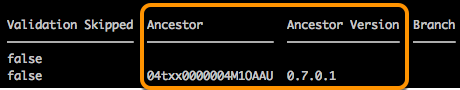 Output from package:version command