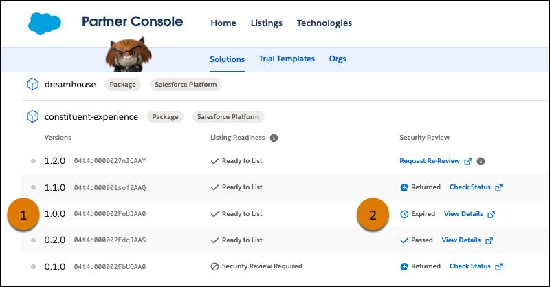 A screenshot of the Technologies page showing a sample solution with multiple package versions, and the security review status of each version