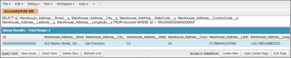 Query results in Developer Console.
