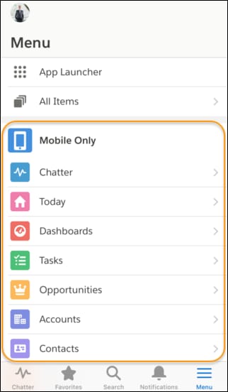 Salesforce mobile app default navigation menu