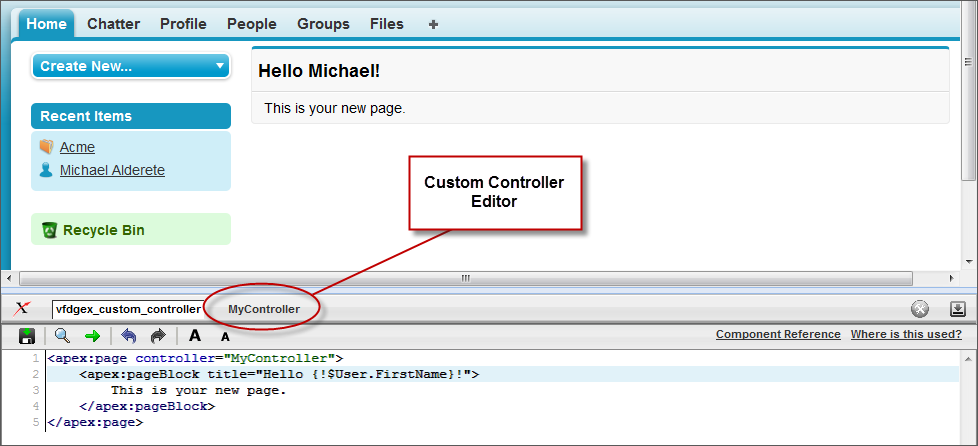 The Custom Controller
Editor A Visualforce page displaying a callout to the Controller Editor