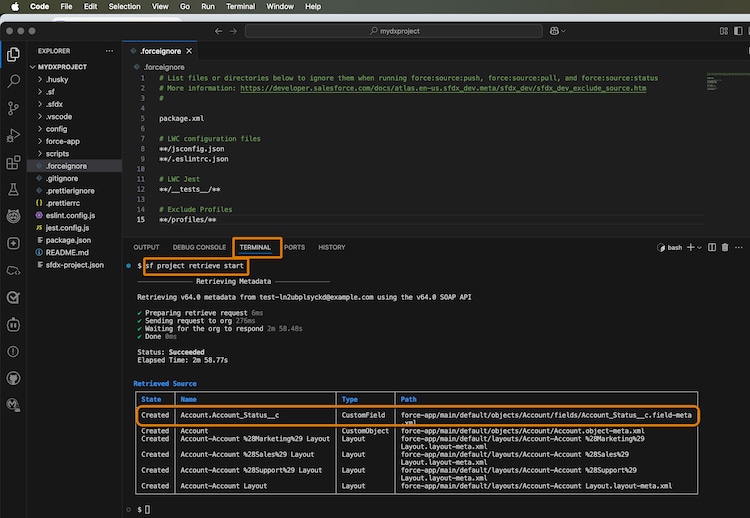 VS Code showing the results of retrieving metadata from scratch org in the terminal.