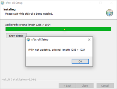 Windows installer showing an error about the PATH not being updated.