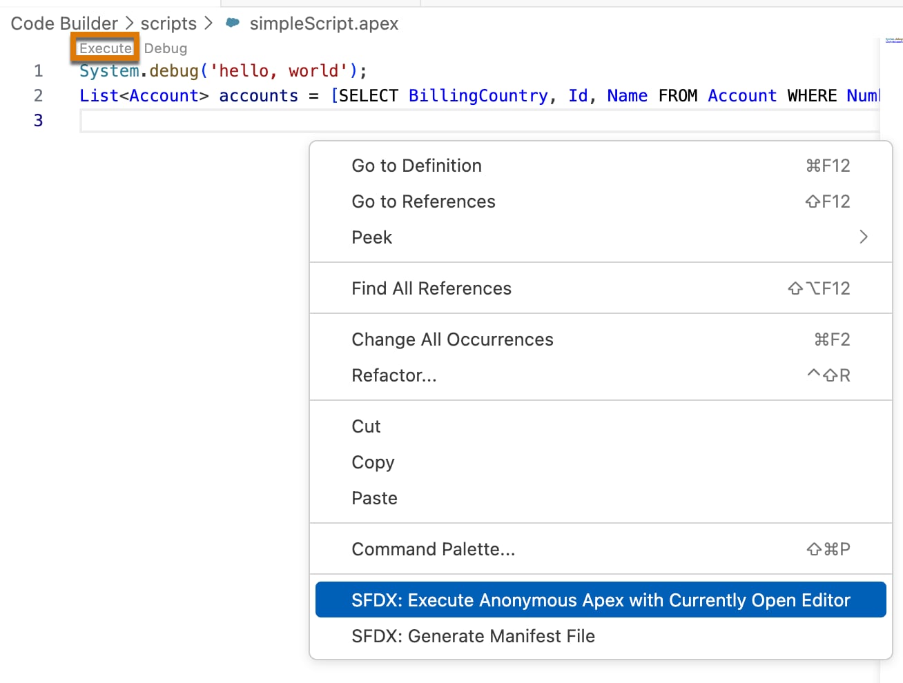 Run an anonymous script
