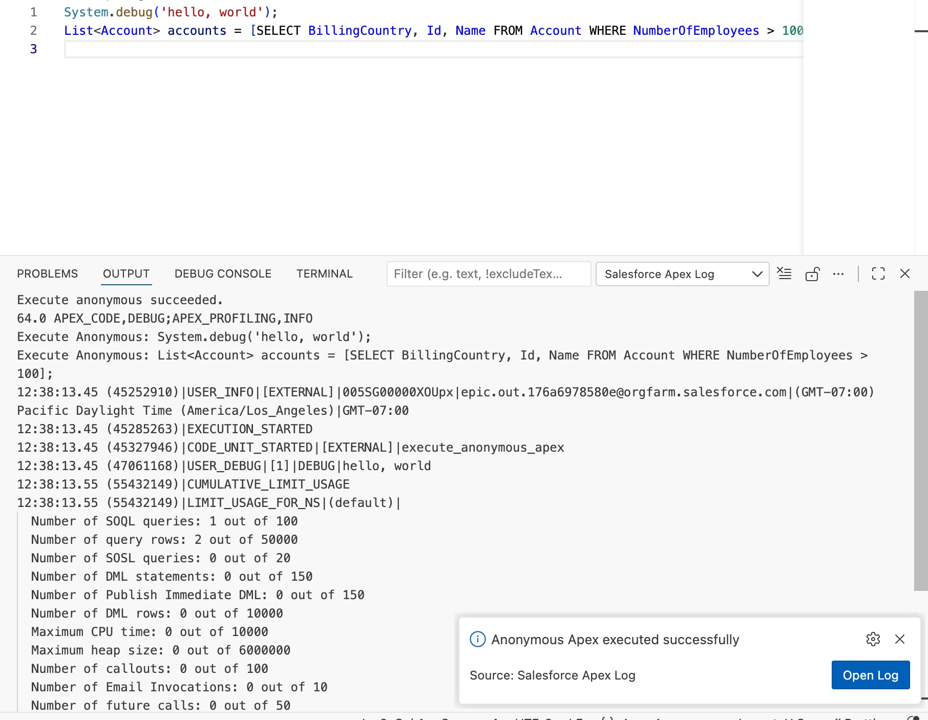 Log generated after running an anonymous Apex script