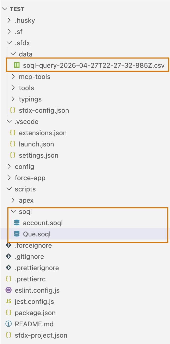 Explorer view with CSV and SOQL files