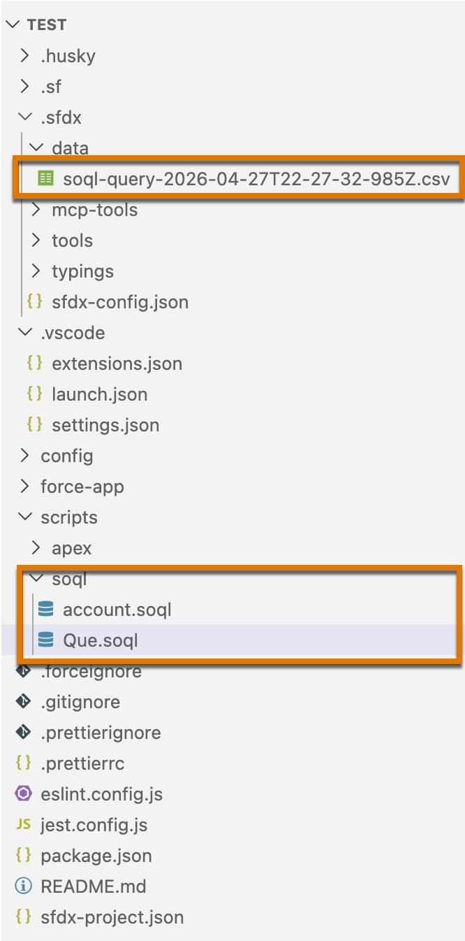 Explorer view with CSV and SOQL files
