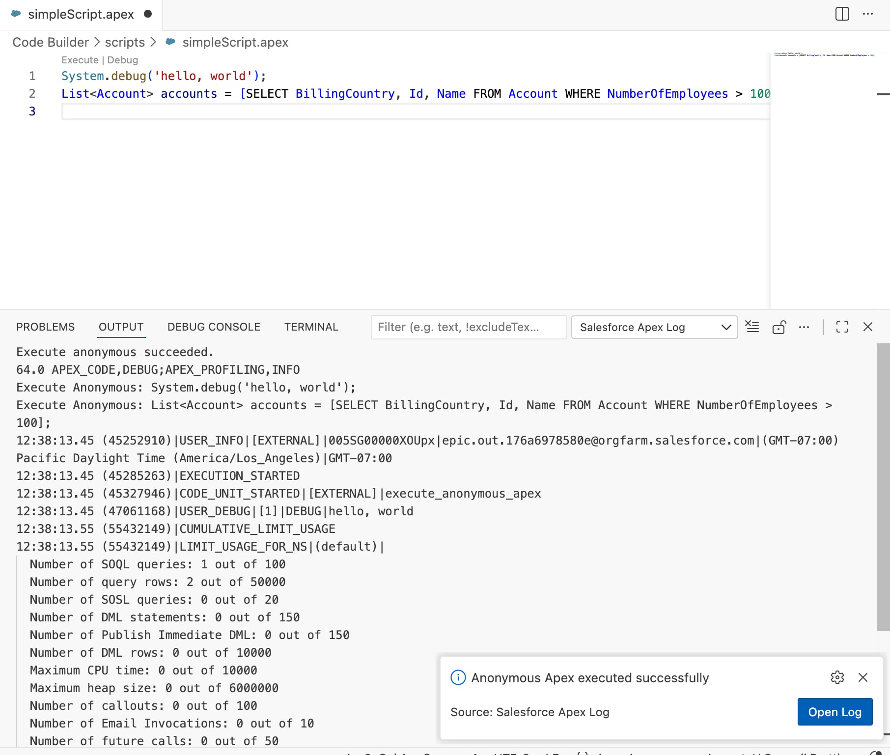 Log generated after running an anonymous Apex script