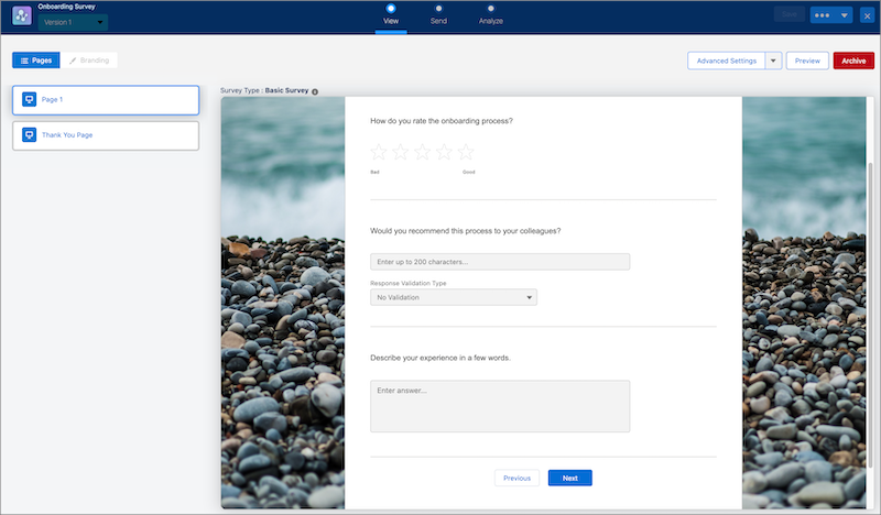 A representation of the created survey in the survey builder.