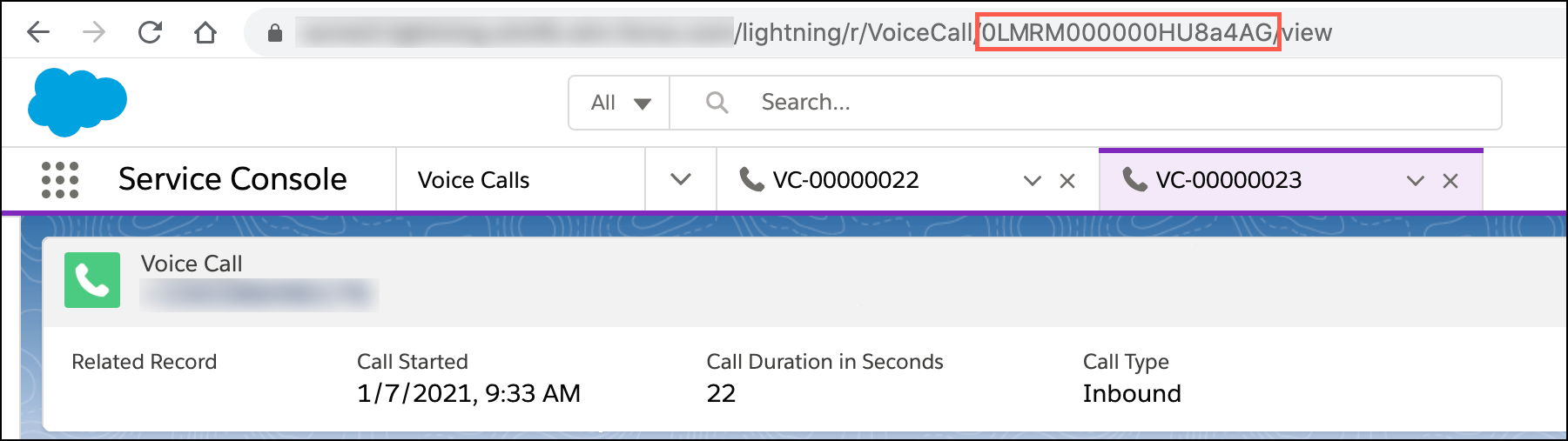 VoiceCall ID